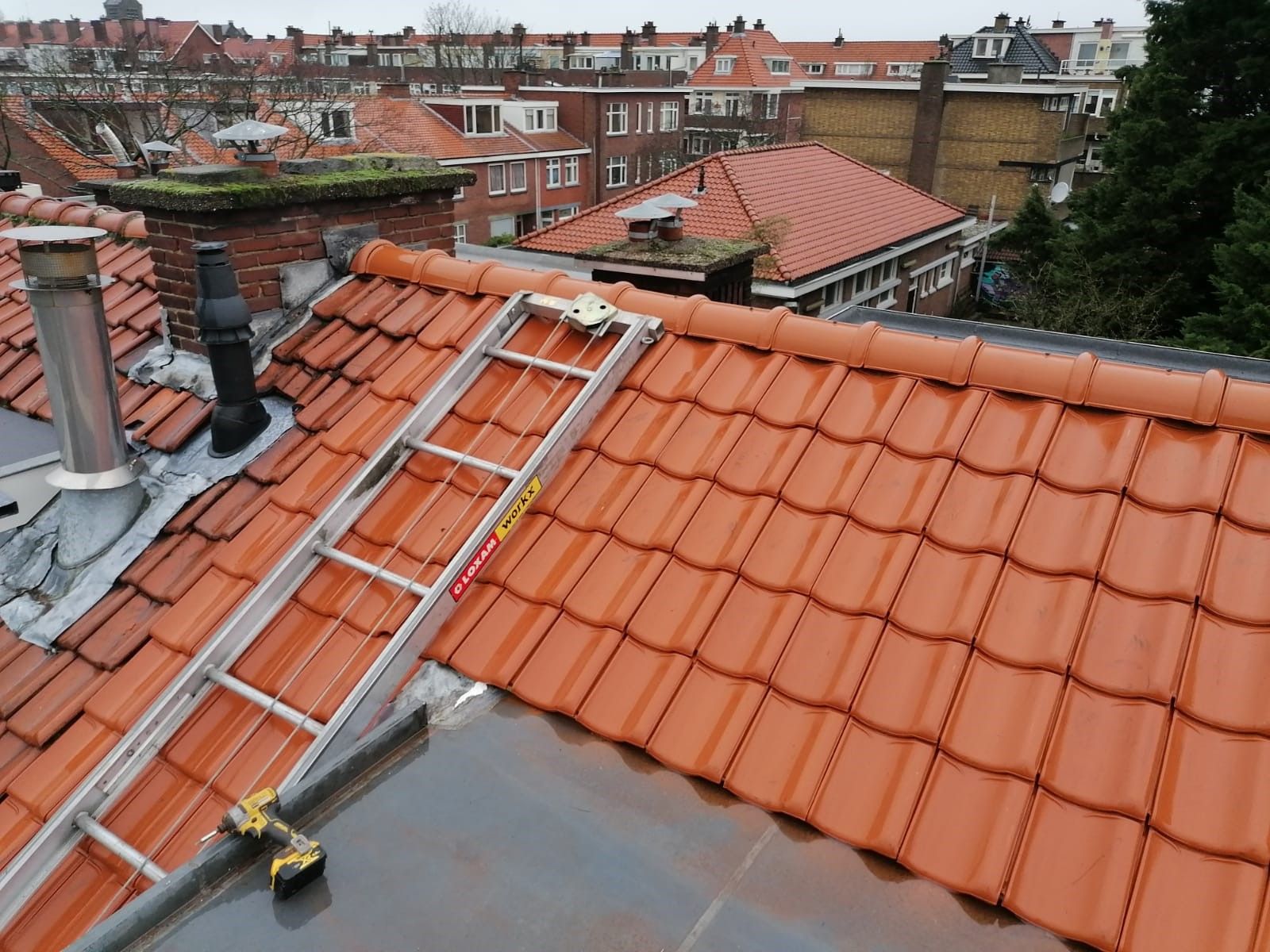 Pannendak vernieuwing | Van den Berg Dakwerken