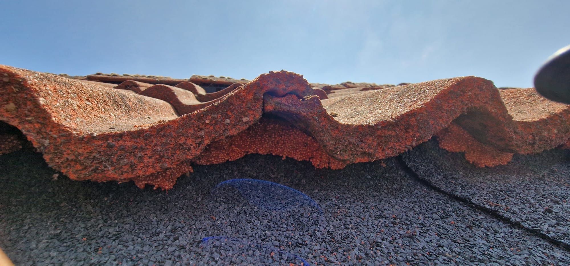 Dakpannen dichtzetten Flexim | Van den Berg Dakwerken